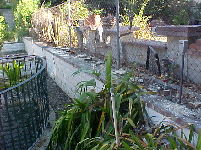 backyard showing stumps