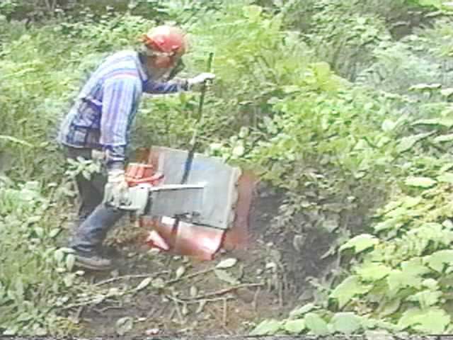 brush-cutting-big