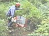 brush-cutting-big