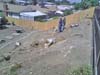 cust_n4