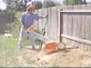 residential-stump-grinding-big
