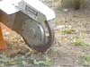 stump-cutting-head-big