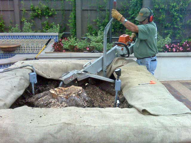 Stump Removal on a Deck