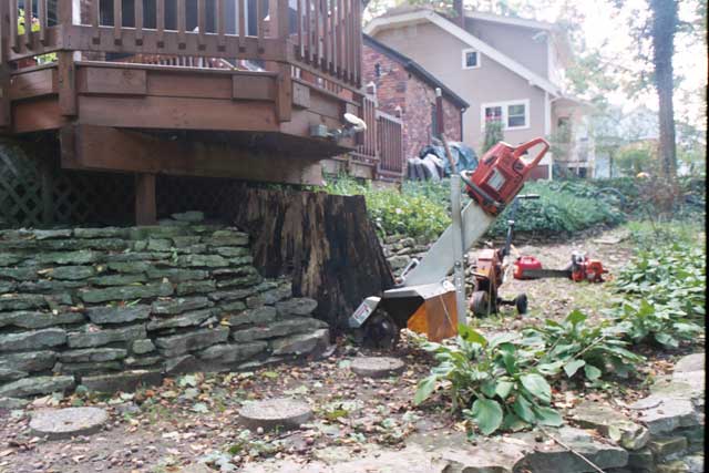 Grinding a stump below a deck